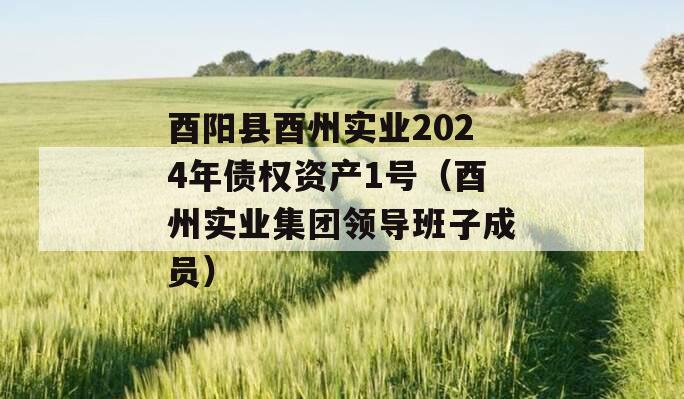 酉阳县酉州实业2024年债权资产1号（酉州实业集团领导班子成员）
